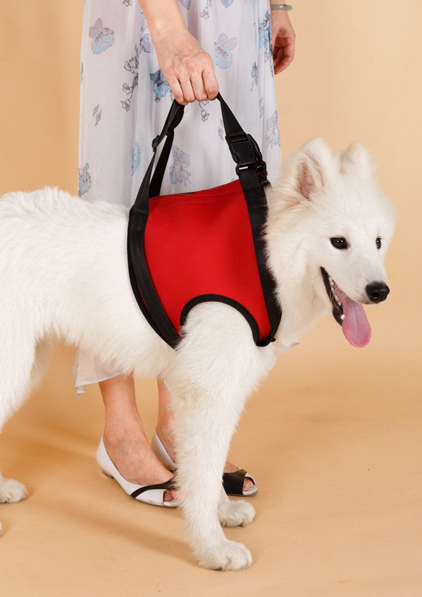 Hind Leg Support Sling for Senior Dogs — Gentle Lift for Weak Back Legs