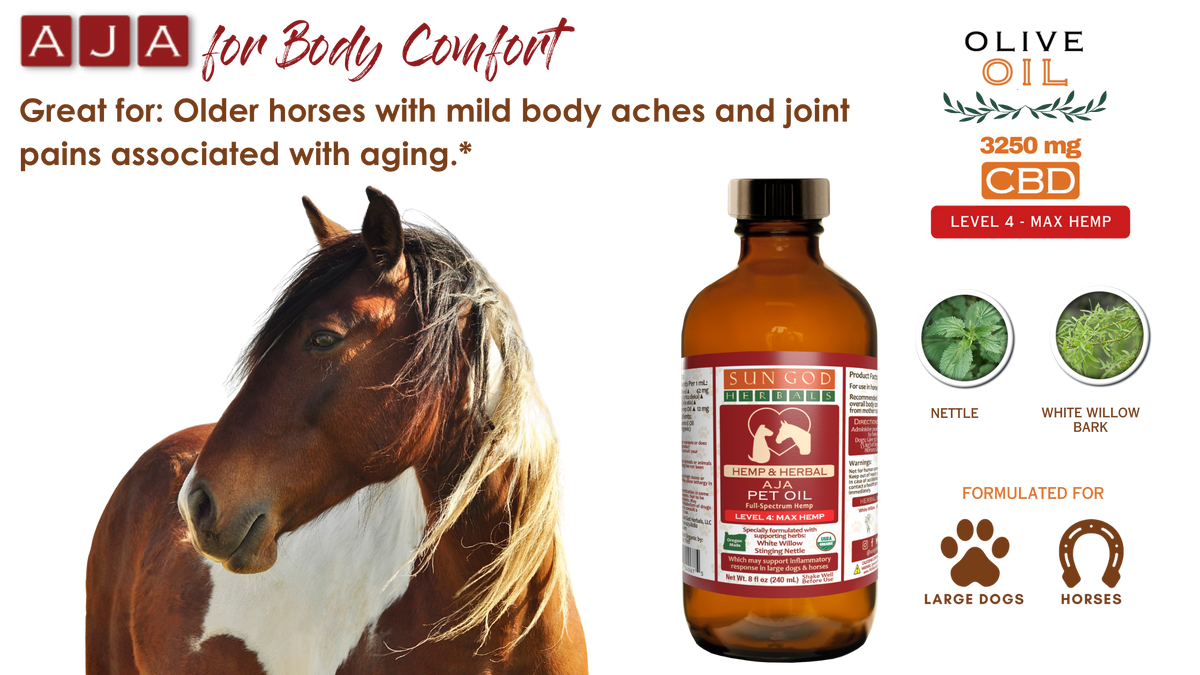 Organic Aja Body Relief Hemp Pet Oil-Level 4 Hemp: for Horses and Large Dogs