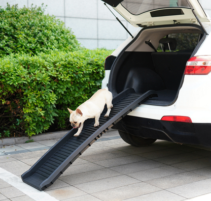 Foldable Pet Stairs & Ramp — Non-Slip Steps for Car, Bed & Sofa