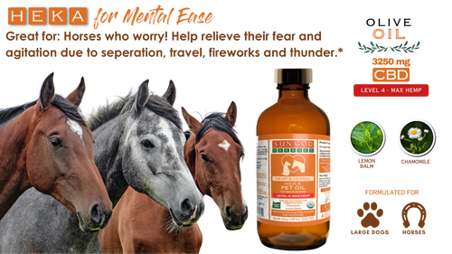 Organic Heka Mental Ease Hemp Pet Oil-Level 4 Max Hemp: for Horses and Large Dogs - SALE