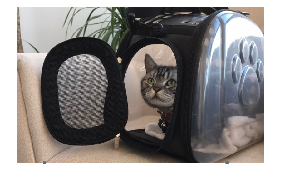 Bubble Window Pet Backpack — Transparent Carrier for Cats & Small Dogs