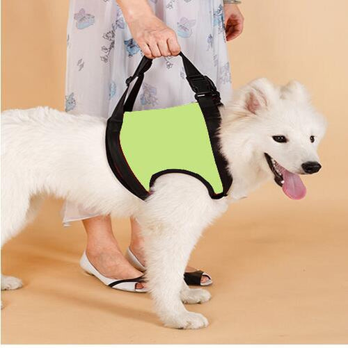 Hind Leg Support Sling for Senior Dogs — Gentle Lift for Weak Back Legs