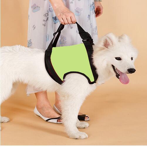 Hind Leg Support Sling for Senior Dogs — Gentle Lift for Weak Back Legs