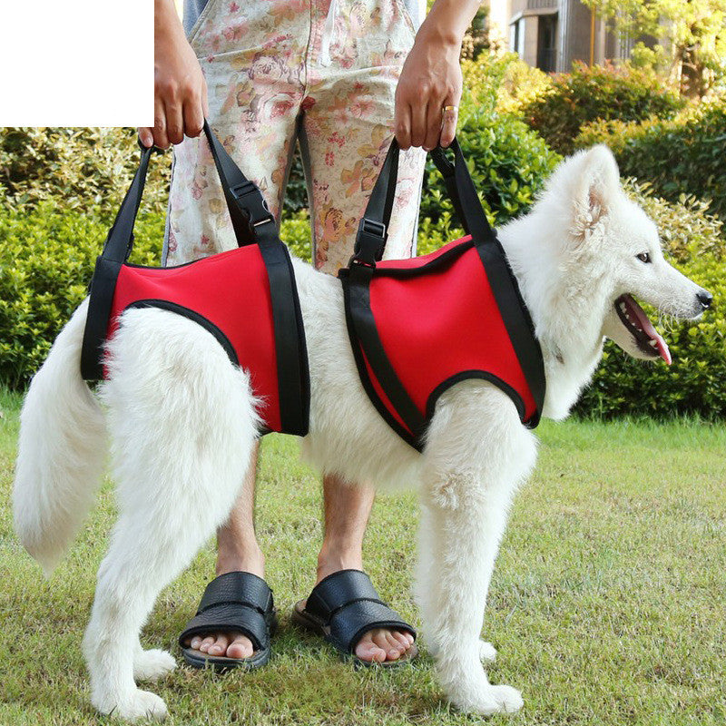 Hind Leg Support Sling for Senior Dogs — Gentle Lift for Weak Back Legs