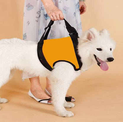 Hind Leg Support Sling for Senior Dogs — Gentle Lift for Weak Back Legs